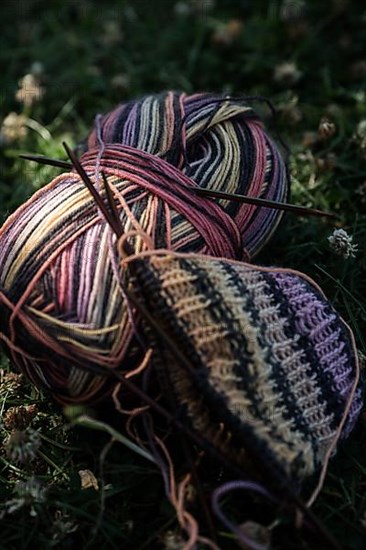 Knitted piece with knitting needles in a meadow