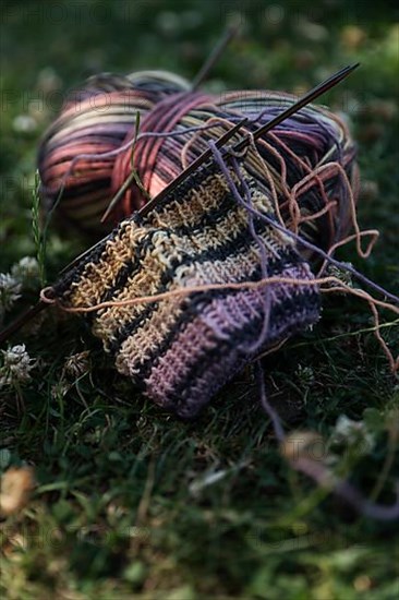 Knitted piece with knitting needles in a meadow