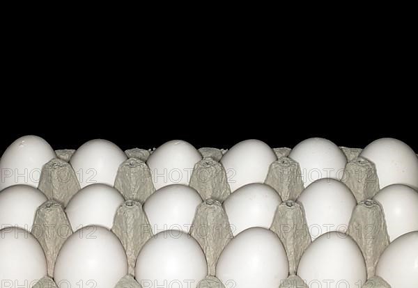 18 eggs with white shell in an egg carton