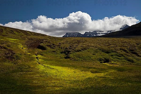 Neon moss on Geldingafjall mountain with a view of Dyrfjoell mountain