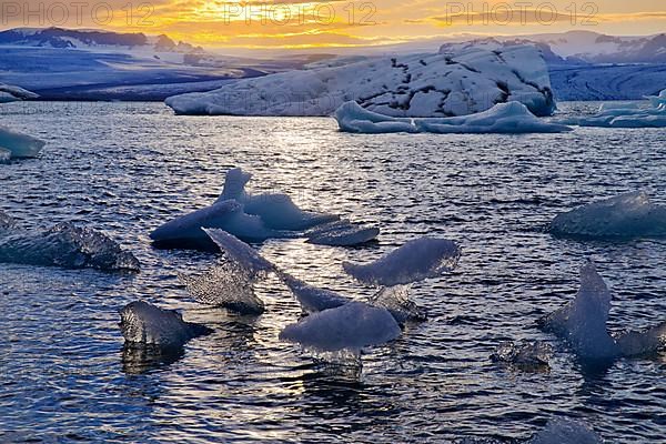 Icebergs in front of setting sun