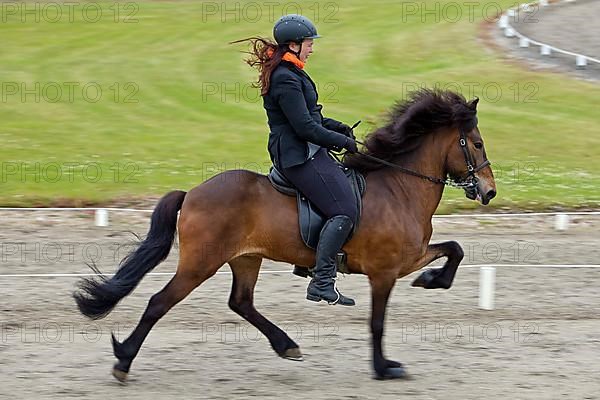 Rider in the toelt on an domestic horse