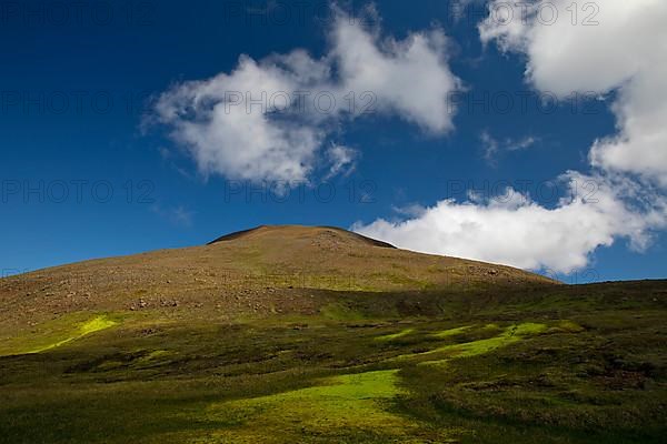 Neon Moss on Mount Osfjoell