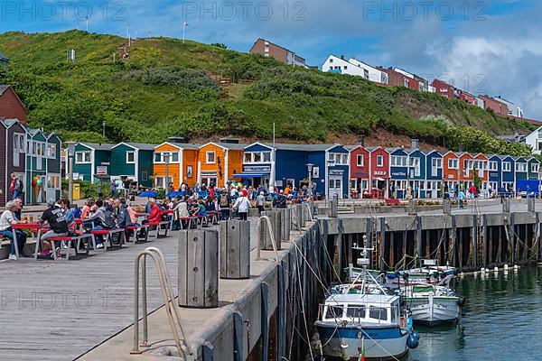 Colourful lobster stalls