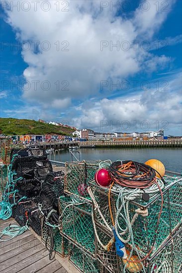 Colourful lobster stalls