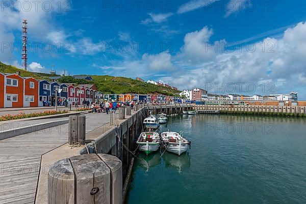 Colourful lobster stalls