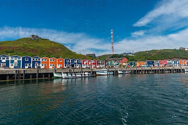 Colourful lobster stalls