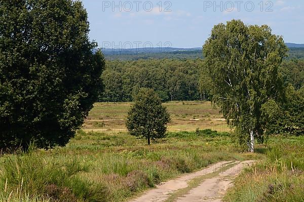 Wahner Heide