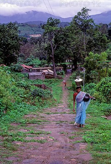 Tribal woman carrying water in Biligirirangana Hills B R Hills in Karnataka