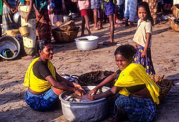 Fisher women washing the fish