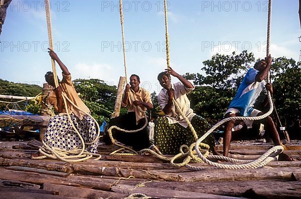 Operating the Chinese fishing nets Cheena vala in Fort Kochi Cochin