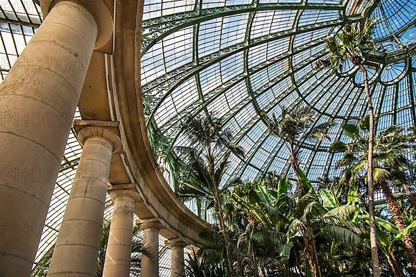 Palm trees in the Jardin d'hiver