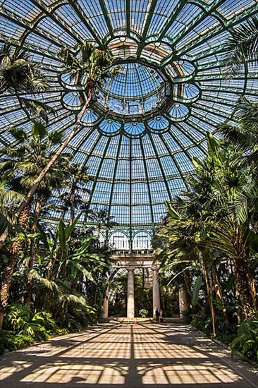 Palm trees in the Jardin d'hiver