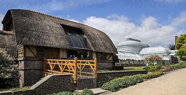 Queen Elisabeth's Studio and the Royal Greenhouses of Laeken in Art Nouveau style