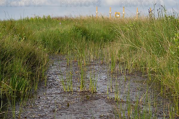 Water ditch