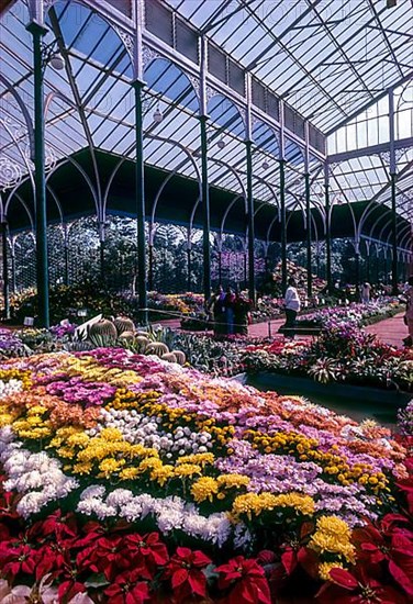 Flower show in glass house at Lal Bagh botanical gardens in Bengaluru Bangalore