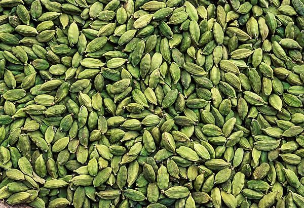 Cardamom