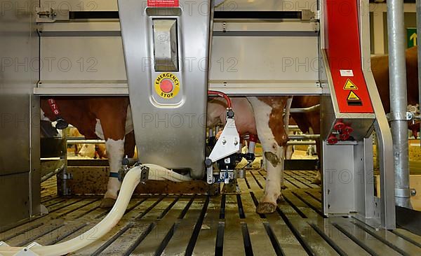 Lely milking machine