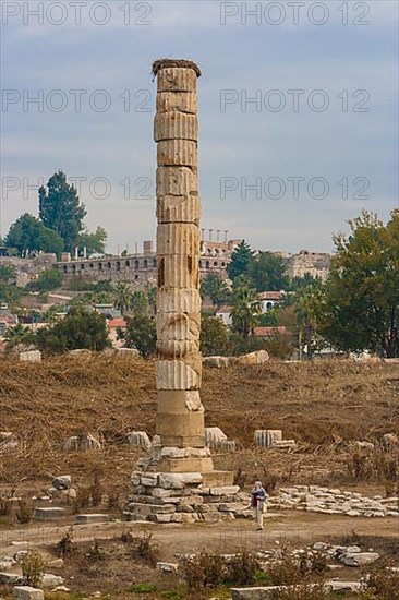 Temple of Artemis