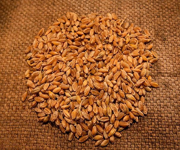 Spelt wheat