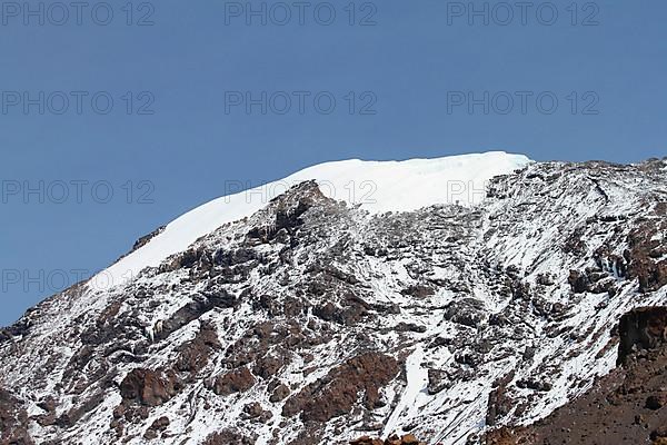 Kilimanjaro