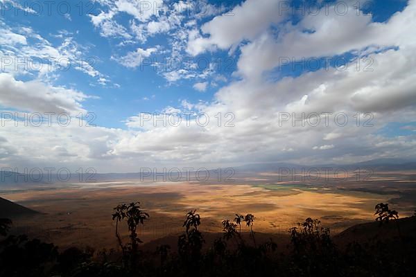 Ngorongoro Crater