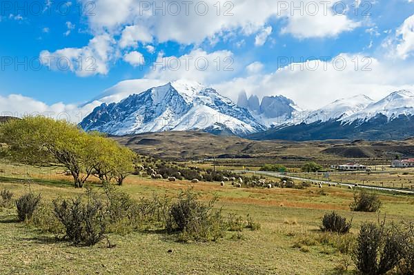 Cuernos del Paine