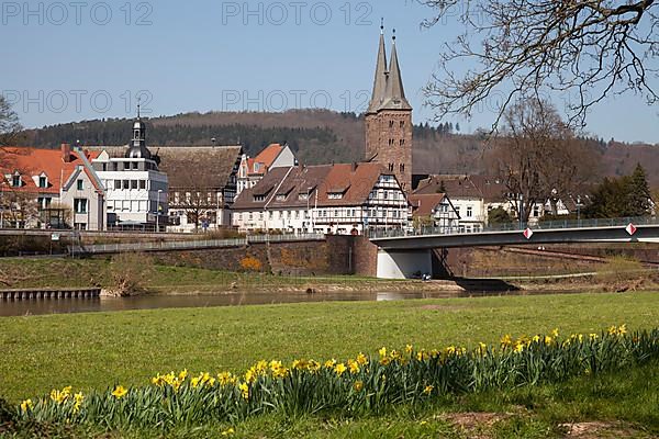 Village view