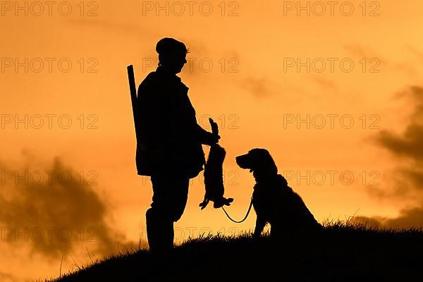 Hunter with dead brown hare and Weimaraner hound silhouetted against the evening sky