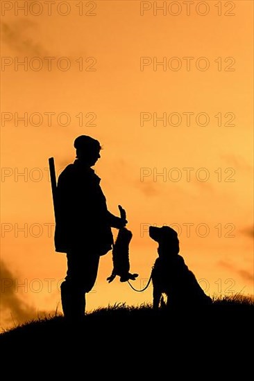 Hunter with dead brown hare and Weimaraner hound silhouetted against the evening sky