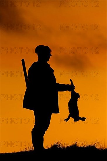 Hunter with rifle holding killed brown hare silhouetted against sunset