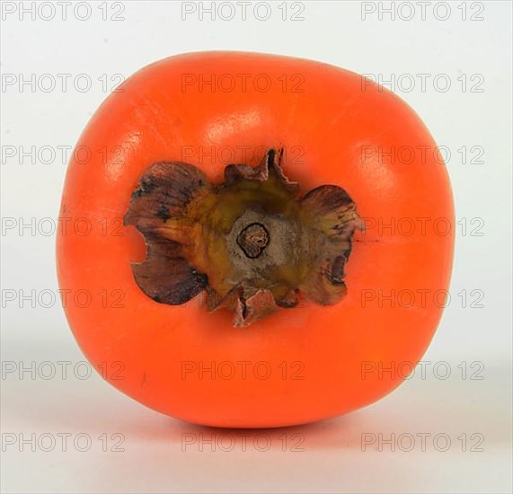 Persimmon