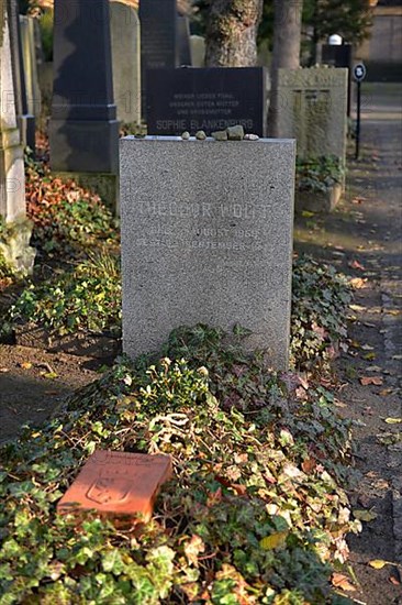 Grave Theodor Wolff