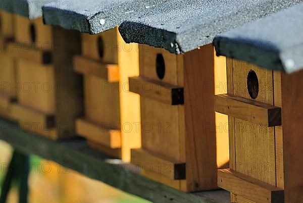 Bird nesting boxes