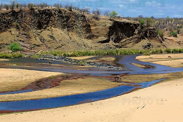 Letaba River