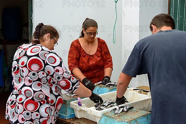 People process fish