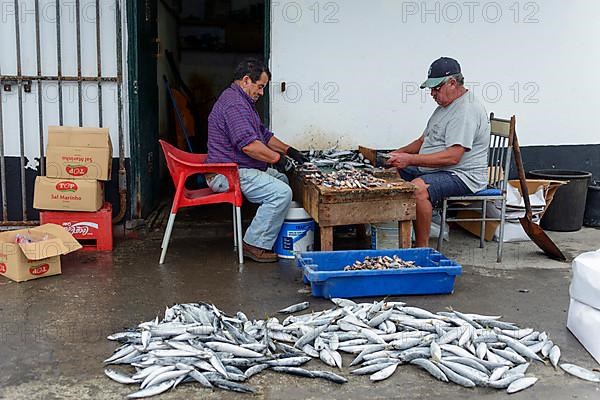 People process fish