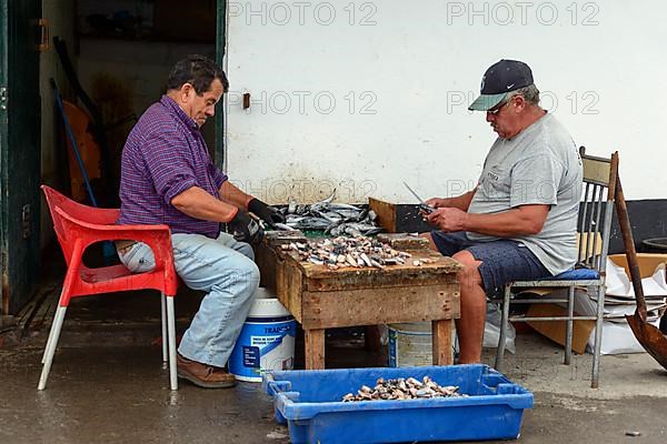 People process fish