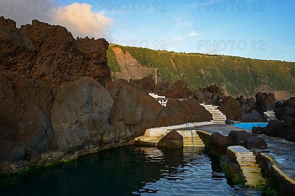 Natural swimming pool