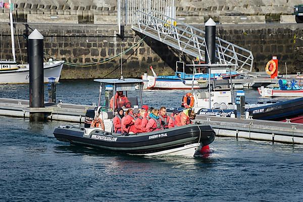 Whale watching boat