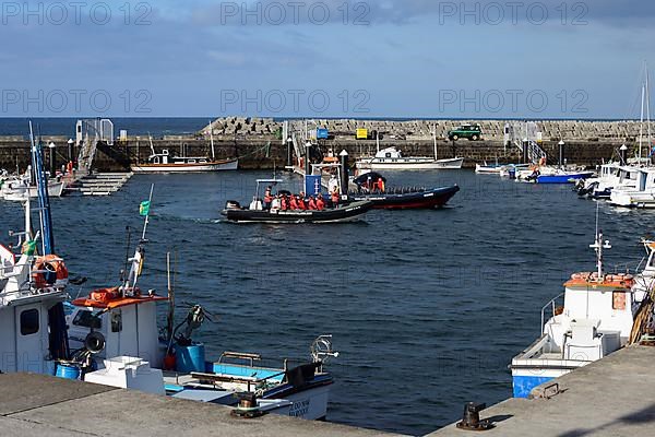 Whale watching boat