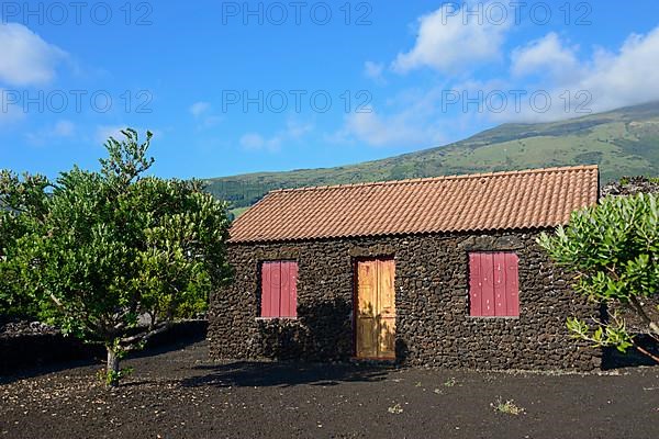 Tyoan volcanic stone house
