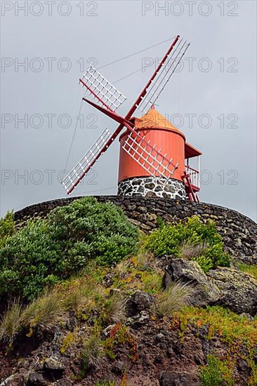 Windmill