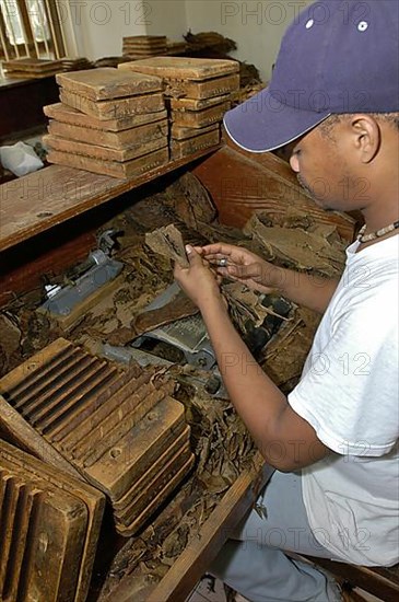 Cigar making