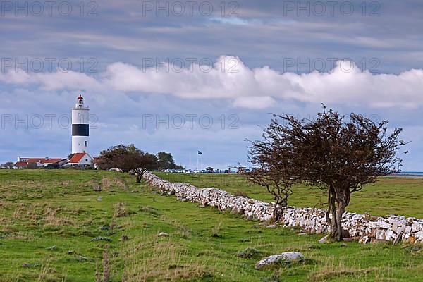 Lighthouse Lange Jan