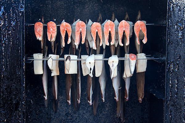 Smoking sea fish and plaice in the smoker