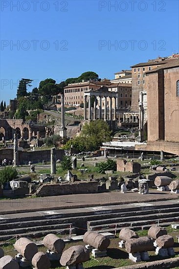 Roman Forum