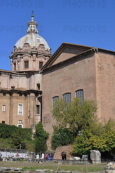 Curia