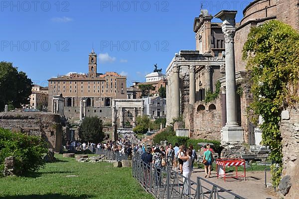 Roman Forum