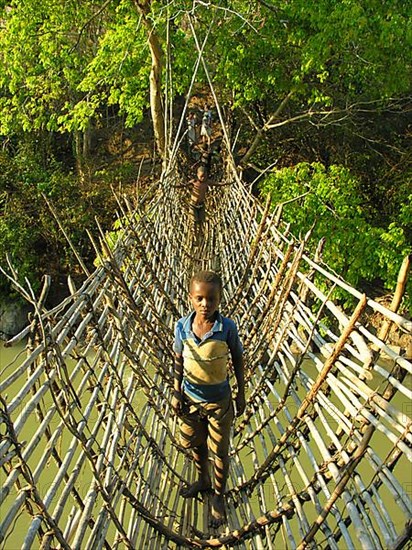 Bamboo bridge in Malawi